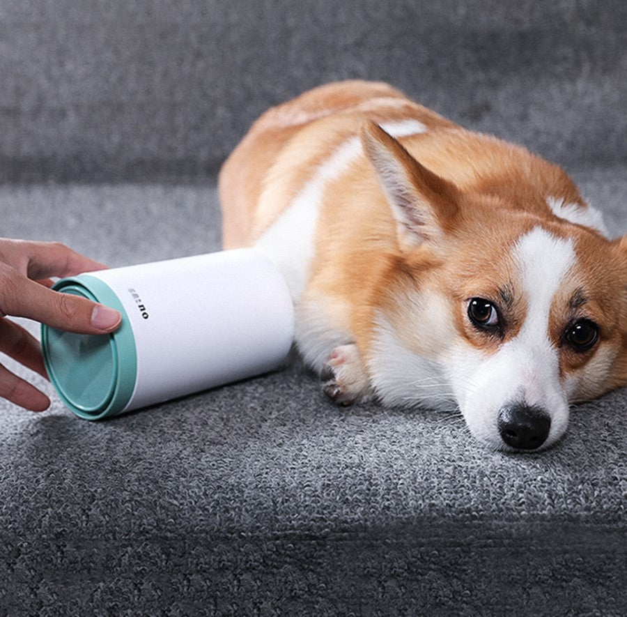 Dog paw being cleaned with PawJoy MudPaws